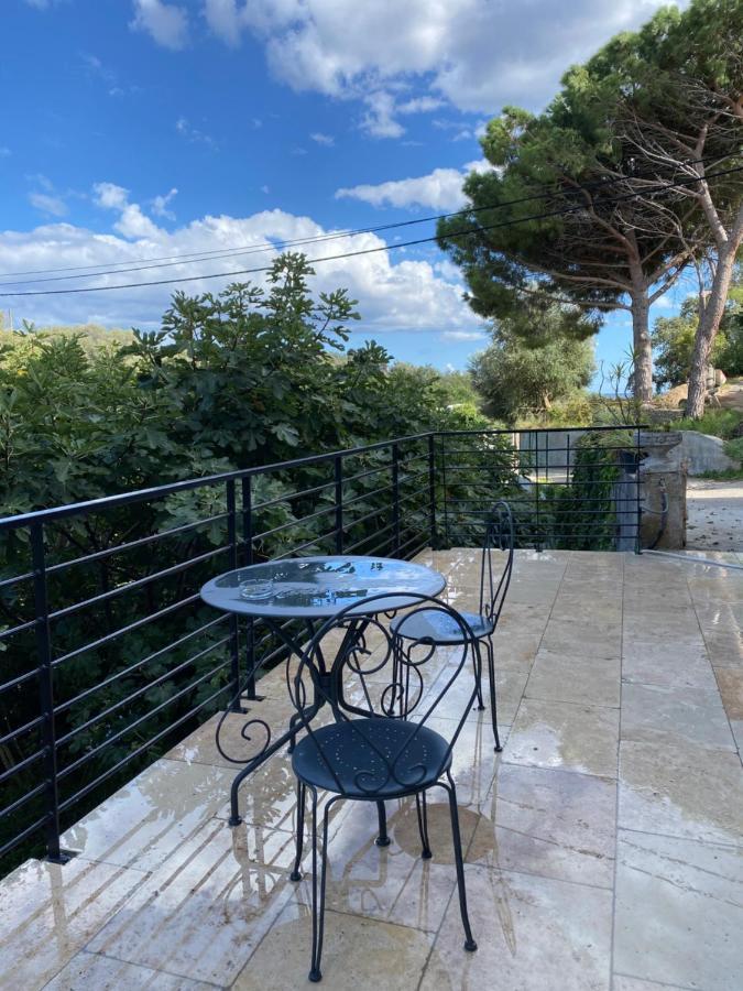 Home Sweet Home 2 Pieces 42 M2 Chambre, Salon, Cuisine, Grande Terrasse, Parking Proche Centre Ville Et Mer Bastia  Exterior foto